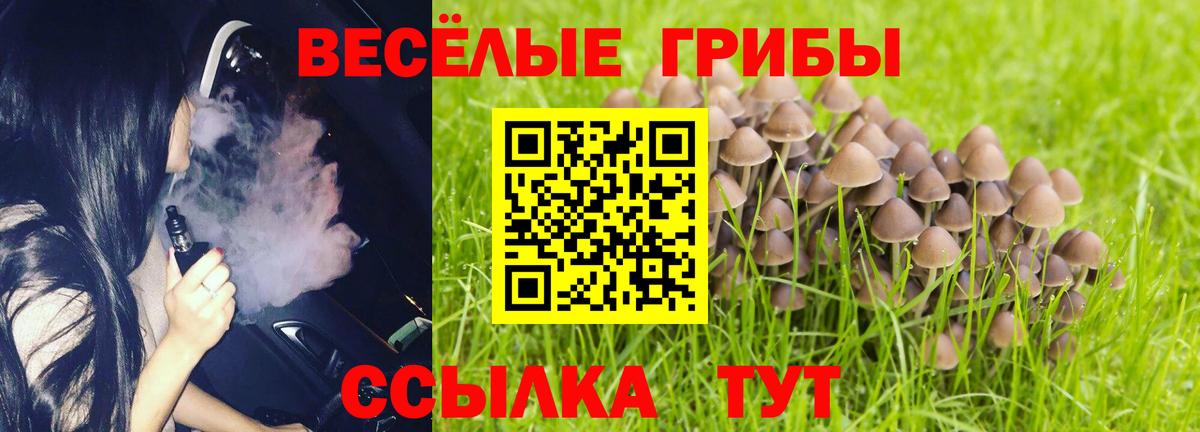 Галлюциногенные грибы Magic Shrooms  Вход с VPN  даркнет сайт  Псилоцибиновые грибы прущие грибы  Новороссийск 